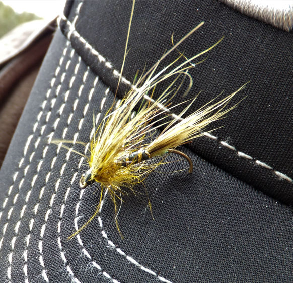 JM Special, yellowish fly for salmon